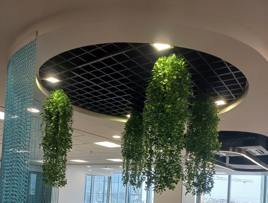 Greenscape Creation